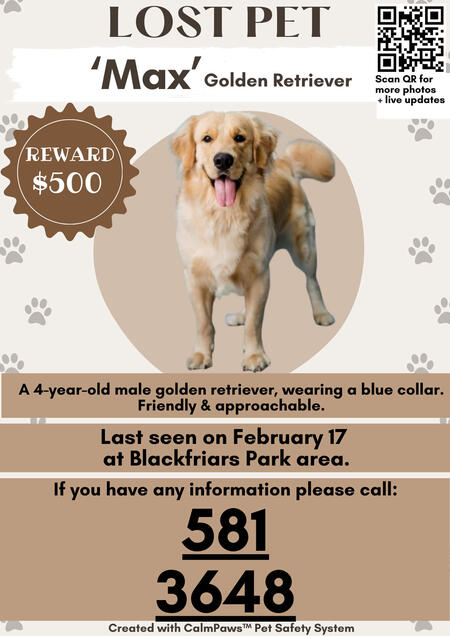 Example lost pet poster created with CalmPaws™ – Adorable golden retriever, $500 reward, blue collar detail Cute golden retriever – CalmPaws™ lost pet flyer template example for 'Max' with reward and contact info